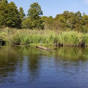 Meet your Posher, Ricky